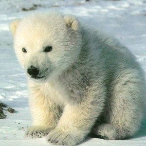 Meet your Posher, Karin